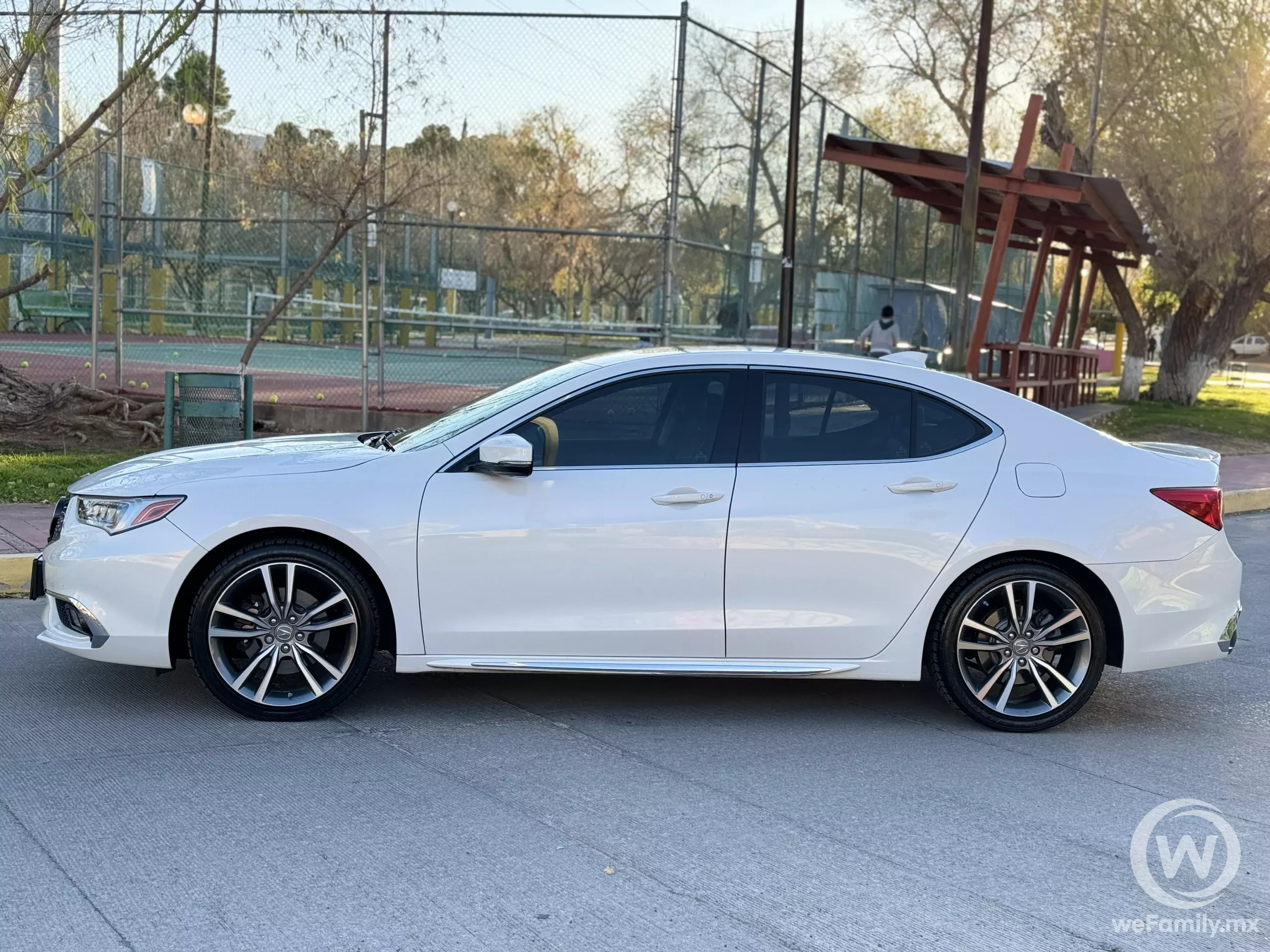 Acura TLX
