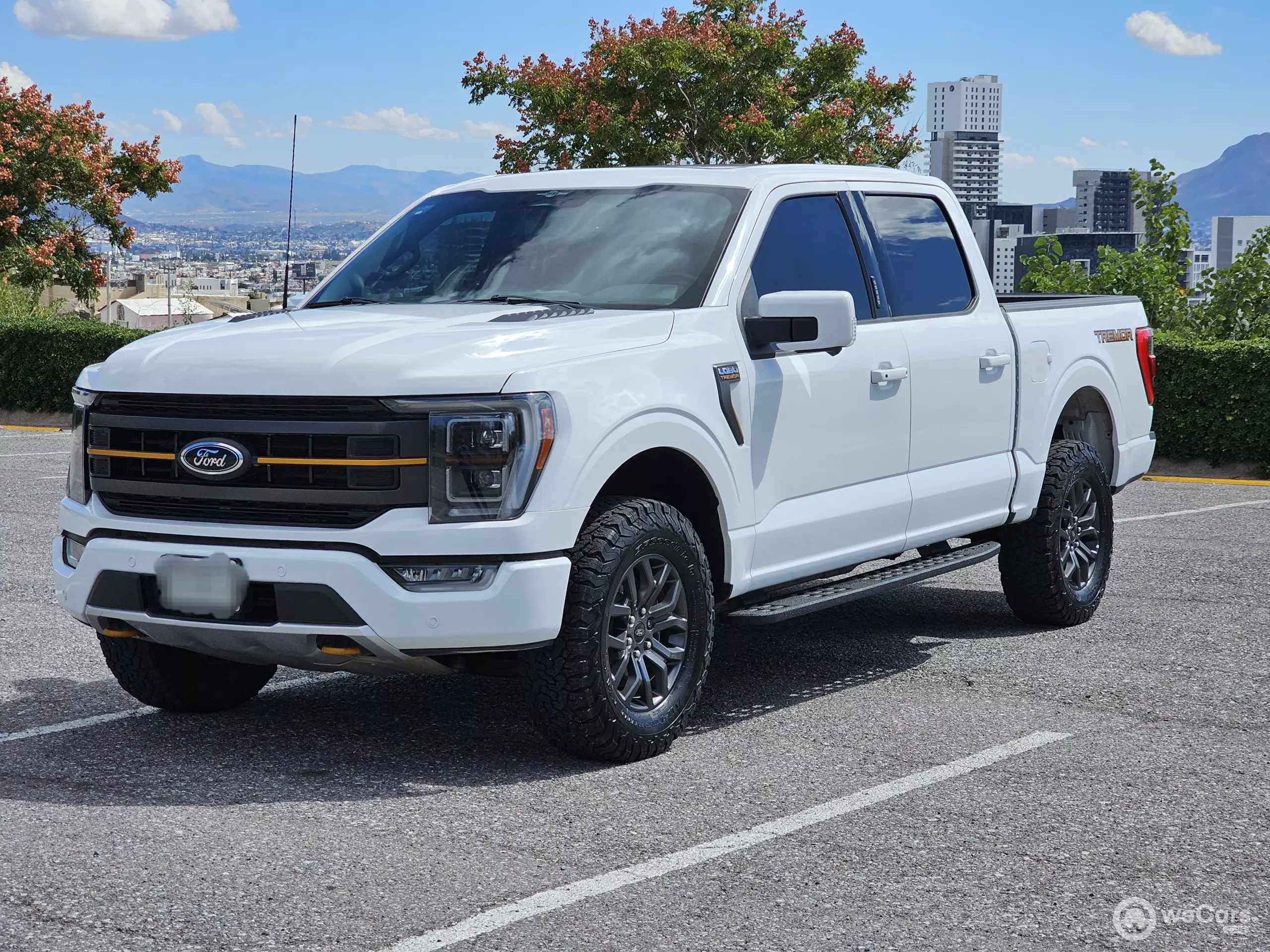 Ford Lobo Pick-Up