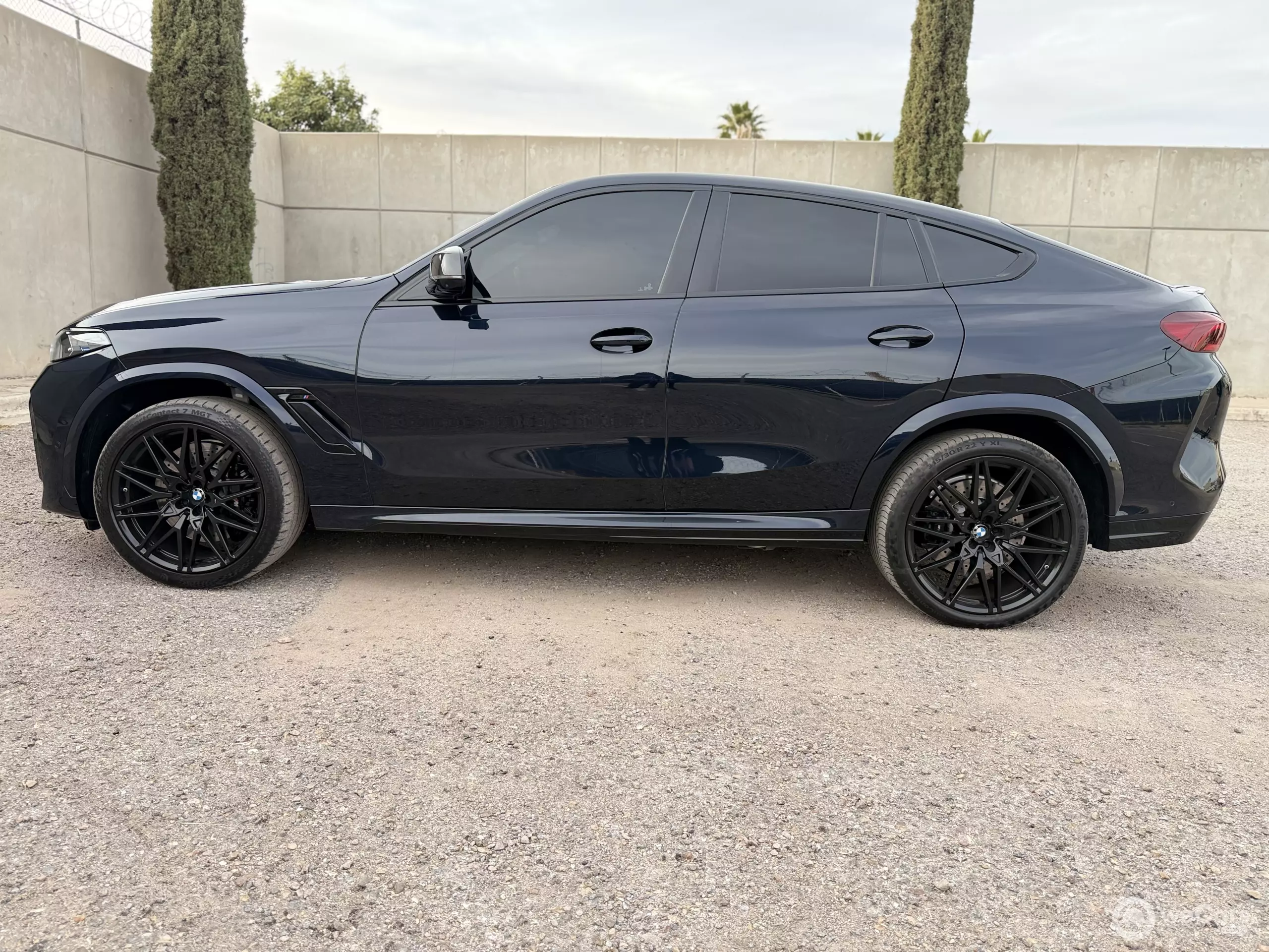 BMW X6 VUD