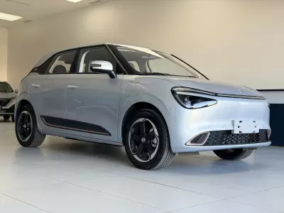 Dongfeng Box 2025