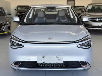 Dongfeng Box 2025