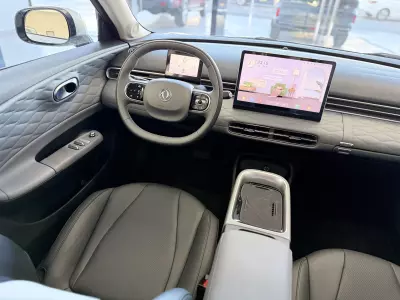 Dongfeng Box 2025