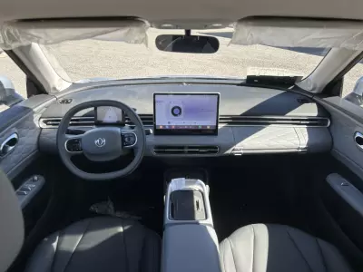 Dongfeng BOX 2025